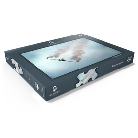 Darstellung des Puzzle Motivs Dassault Rafale - Puzzleteile: 200