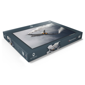 Darstellung des Puzzle Motivs Dassault Rafale - Puzzleteile: 100