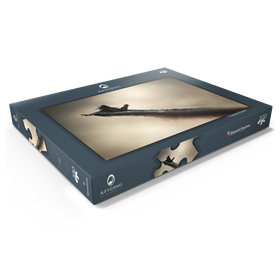 Darstellung des Puzzle Motivs Dassault Rafale - Puzzleteile: 100