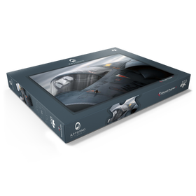 Darstellung des Puzzle Motivs Dassault Mirage 2000C - Puzzleteile: 100