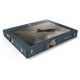 Darstellung des Puzzle Motivs Dassault Mirage 2000N - Puzzleteile: 100