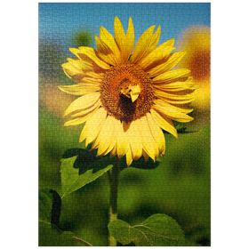 Darstellung des Puzzle Motivs Blütenblatt Herz - Puzzleteile: 1000