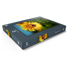 Darstellung des Puzzle Motivs Blütenblatt Herz - Puzzleteile: 100