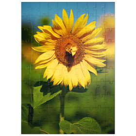 Darstellung des Puzzle Motivs Blütenblatt Herz - Puzzleteile: 100