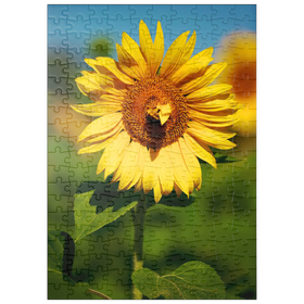 Darstellung des Puzzle Motivs Blütenblatt Herz - Puzzleteile: 200