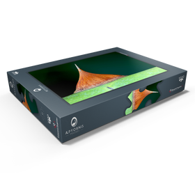 Darstellung des Puzzle Motivs Thorn - Puzzleteile: 1000