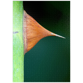 Darstellung des Puzzle Motivs Thorn - Puzzleteile: 1000