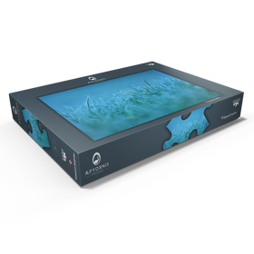 Darstellung des Puzzle Motivs Gefrorener Morgen - Puzzleteile: 1000