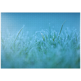 Darstellung des Puzzle Motivs Gefrorener Morgen - Puzzleteile: 1000