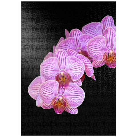 puzzleplate Orchid intimacy 1000 Puzzle