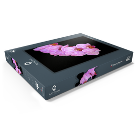 Darstellung des Puzzle Motivs Intimität der Orchidee - Puzzleteile: 100