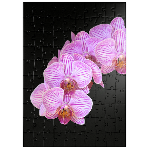 puzzleplate Orchid intimacy 100 Puzzle
