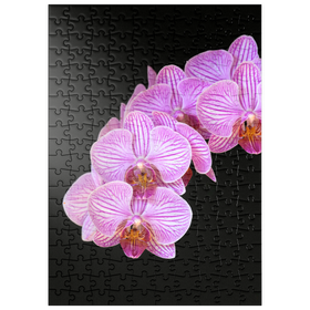 Darstellung des Puzzle-Motivs Intimität der Orchidee – Puzzleteile: 200
