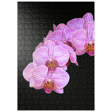 puzzleplate Orchid intimacy 200 Puzzle