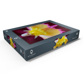 Darstellung des Puzzle Motivs Orchideengewächse - Puzzleteile: 1000