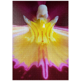Darstellung des Puzzle Motivs Orchideengewächse - Puzzleteile: 1000