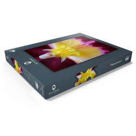 Darstellung des Puzzle Motivs Orchideengewächse - Puzzleteile: 100