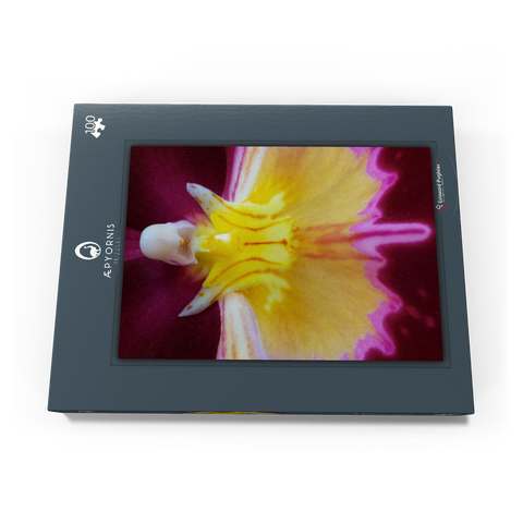 Orchidaceae 100 Puzzle Schachtel Ansicht3
