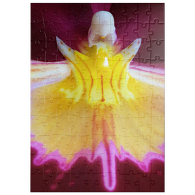 Darstellung des Puzzle Motivs Orchideengewächse - Puzzleteile: 100