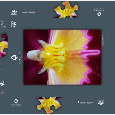 Orchidaceae 200 Puzzle Schachtel 3D Modell