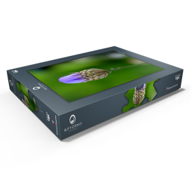 Darstellung des Puzzle Motivs Blaue Catananche - Puzzleteile: 1000