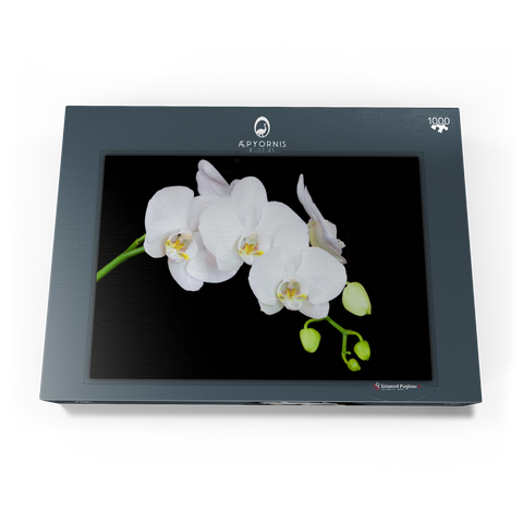 Pure Orchid 1000 Puzzle Schachtel Ansicht3