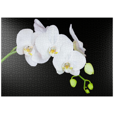 puzzleplate Pure Orchid 1000 Puzzle