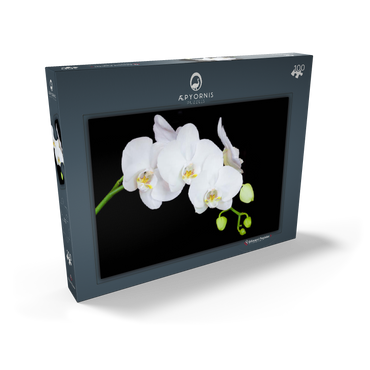 Pure Orchid 100 Puzzle Schachtel Ansicht2