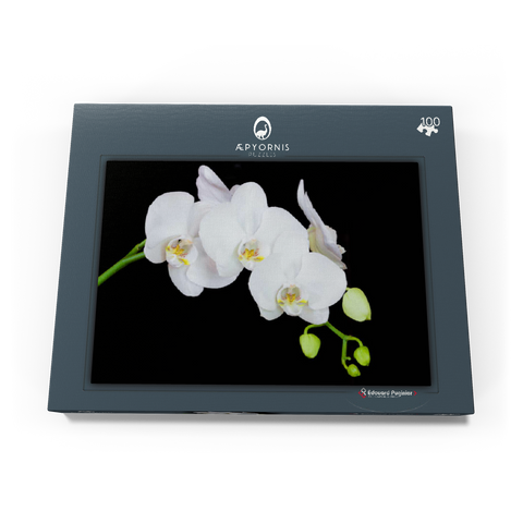 Pure Orchid 100 Puzzle Schachtel Ansicht3
