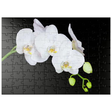 puzzleplate Pure Orchid 100 Puzzle