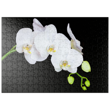 puzzleplate Pure Orchid 200 Puzzle