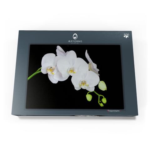 Pure Orchid 500 Puzzle Schachtel Ansicht3
