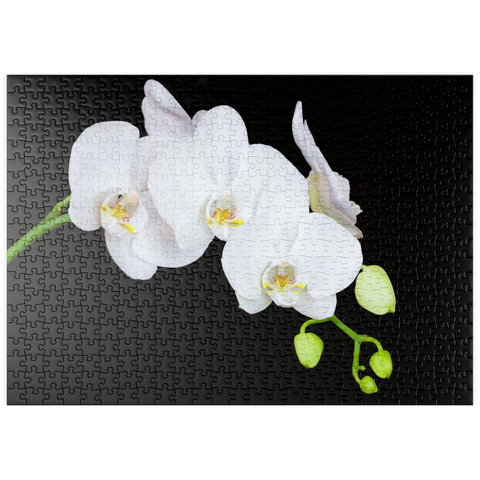 puzzleplate Pure Orchid 500 Puzzle