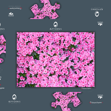 Flowery 1000 Puzzle Schachtel 3D Modell