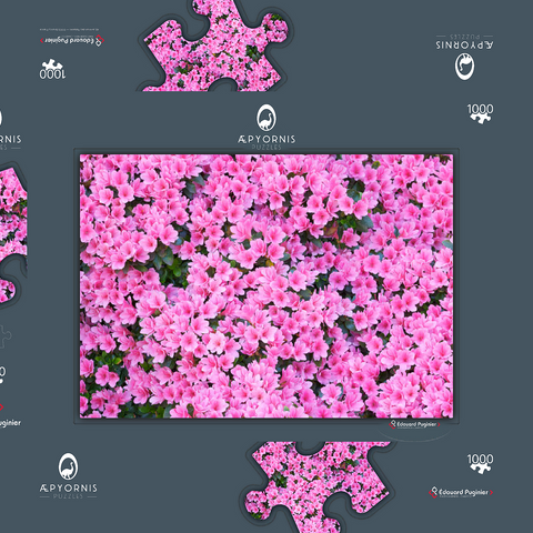 Flowery 1000 Puzzle Schachtel 3D Modell