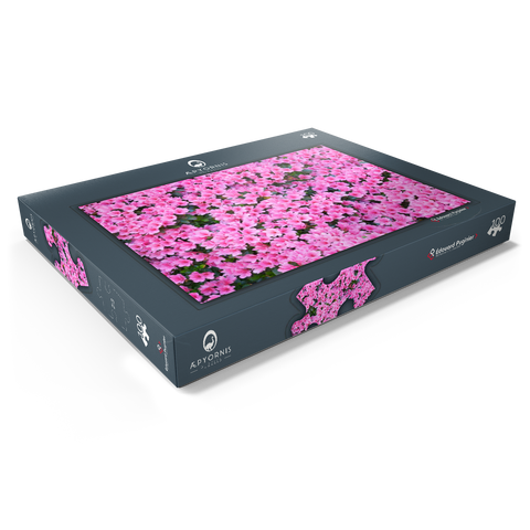 Flowery 100 Puzzle Schachtel Ansicht1