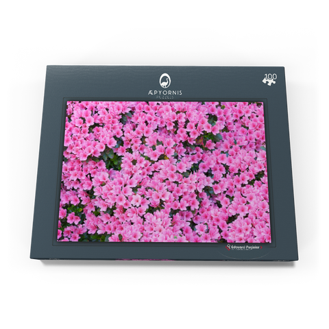 Flowery 100 Puzzle Schachtel Ansicht3