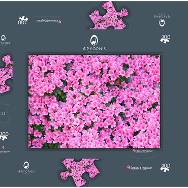Flowery 100 Puzzle Schachtel 3D Modell