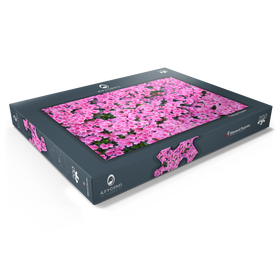 Alternative Darstellung des Puzzle-Motivs Blumig – Puzzleteile: 200