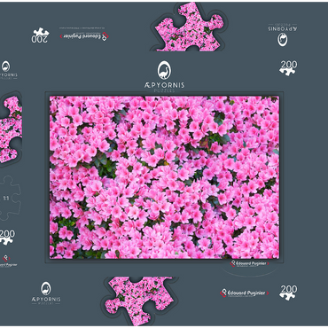 Flowery 200 Puzzle Schachtel 3D Modell