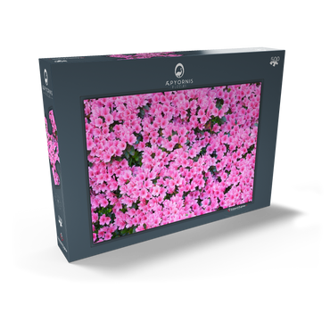 Flowery 500 Puzzle Schachtel Ansicht2