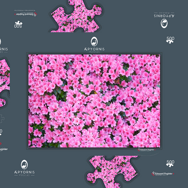 Flowery 500 Puzzle Schachtel 3D Modell