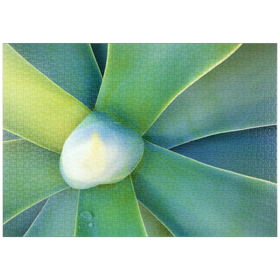 Darstellung des Puzzle Motivs Künstlerische Natur - Puzzleteile: 1000