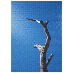 Darstellung des Puzzle-Motivs Trunk & Sky – Puzzleteile: 1000