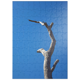 Darstellung des Puzzle Motivs Trunk & Sky - Puzzleteile: 100