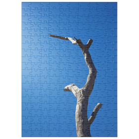 Darstellung des Puzzle Motivs Trunk & Sky - Puzzleteile: 200