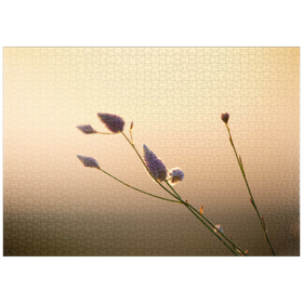Darstellung des Puzzle-Motivs Sweet Ozi Morning – Puzzleteile: 1000