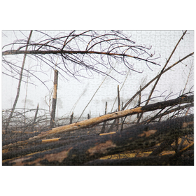 Darstellung des Puzzle Motivs Verheerend - Puzzleteile: 100