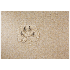 Darstellung des Puzzle Motivs Landes Boulevard imprint - Puzzleteile: 1000