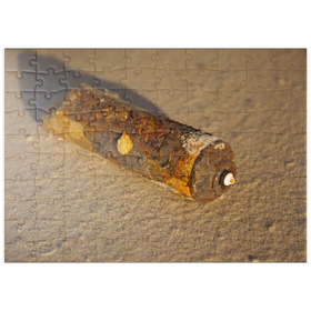 Darstellung des Puzzle Motivs Die Natur wird siegen - Puzzleteile: 100